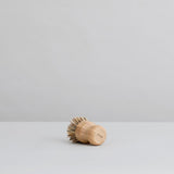 e.sup plastic free dish brush