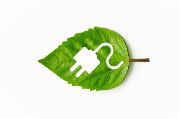 Green leaf with a power socket as symbol of how decarbonisation is achieved.